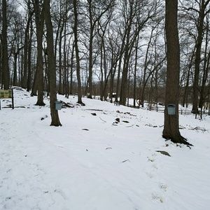 Meet your Posher, Sonali